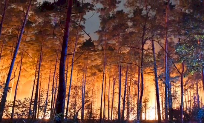 德國森林大火逼近村莊 疏散約600人