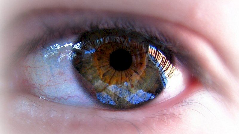 最新研究：眼睛可能透露阿茲海默症徵兆