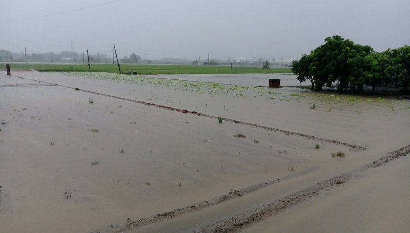 豪雨造成農業損失逾6.5億元 嘉義縣最嚴重