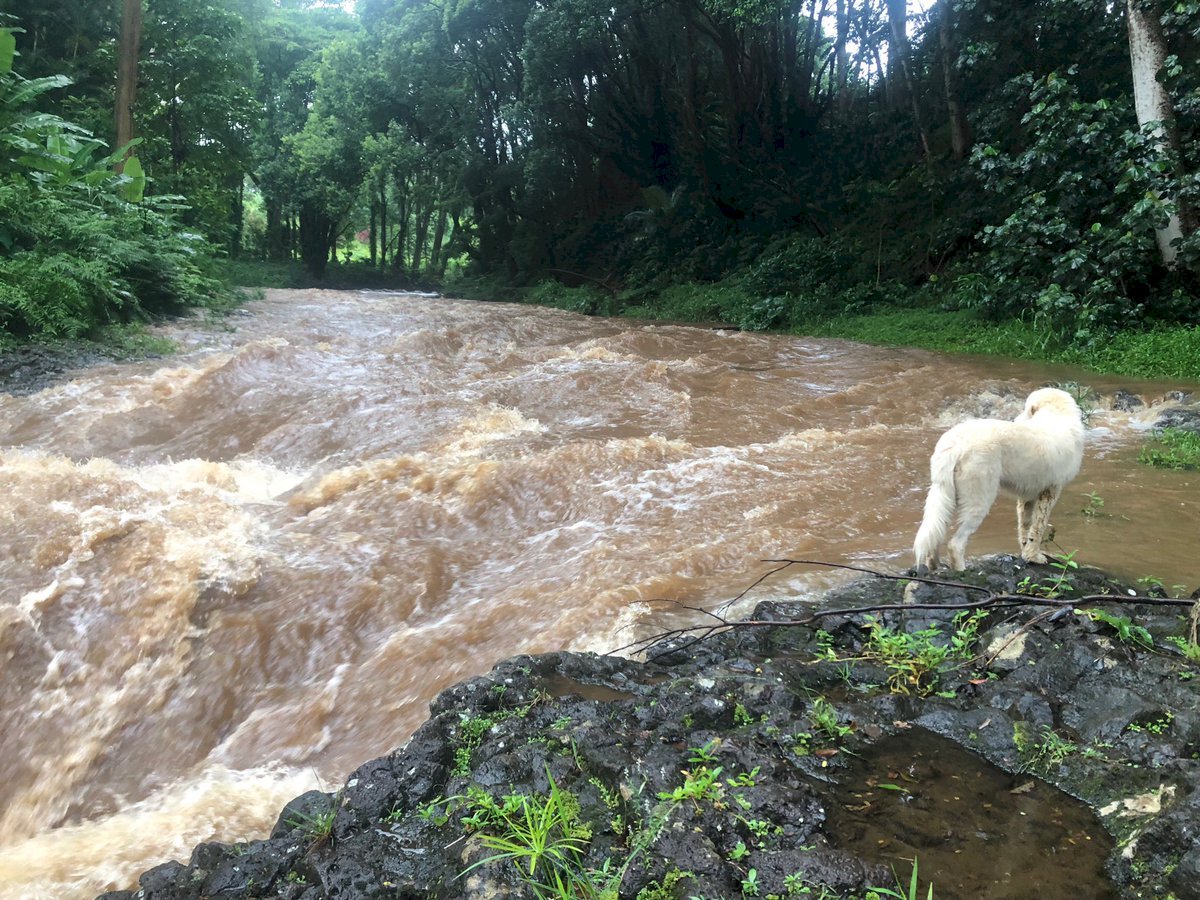 受颶風雷恩影響 夏威夷考艾島發布洪水警報