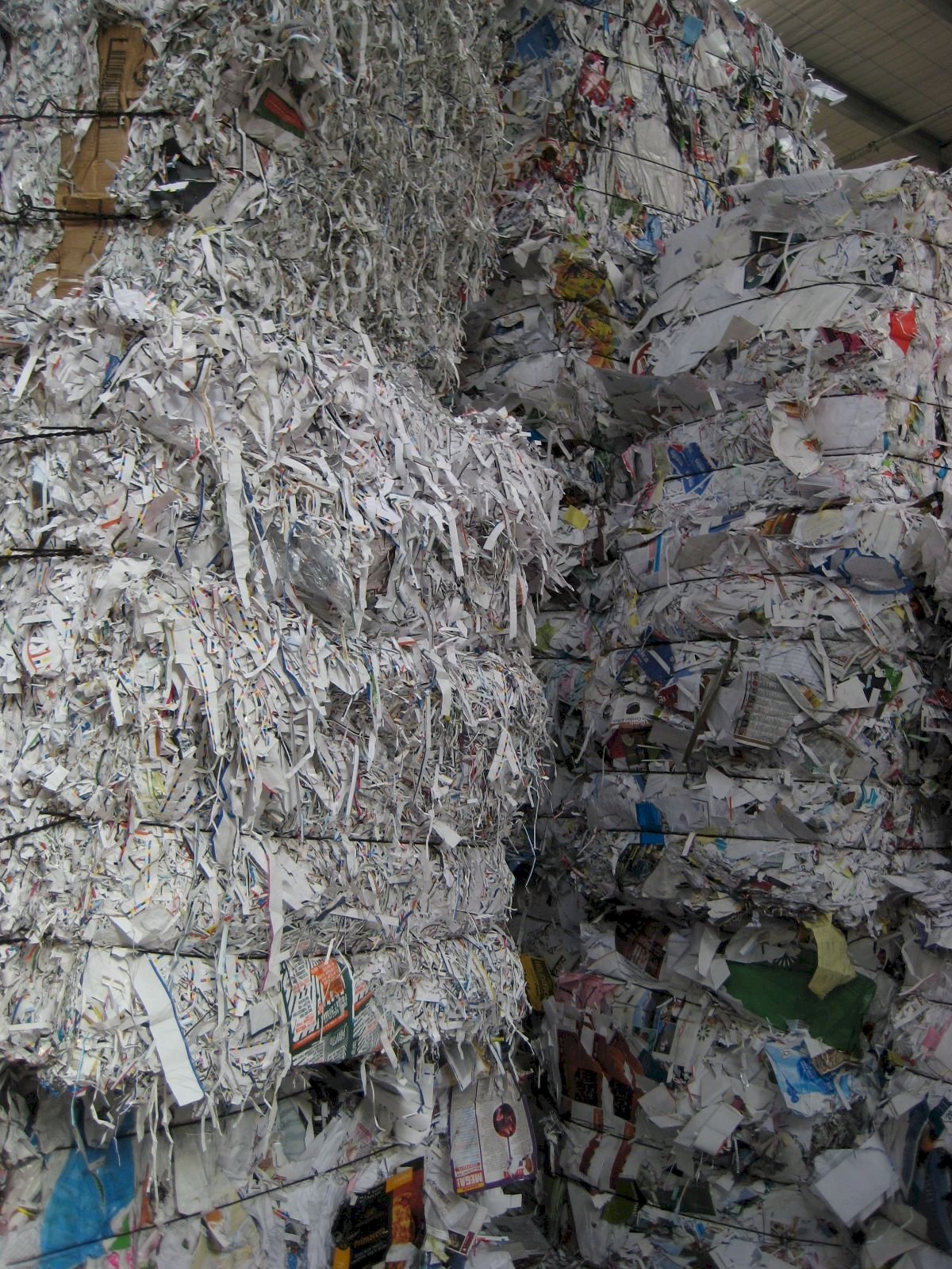 廢紙廢塑料管制遭疑太慢 環署：檢討調整