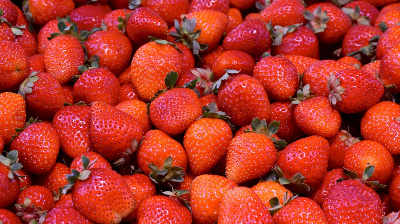 澳洲草莓藏針事件 一名婦女遭起訴