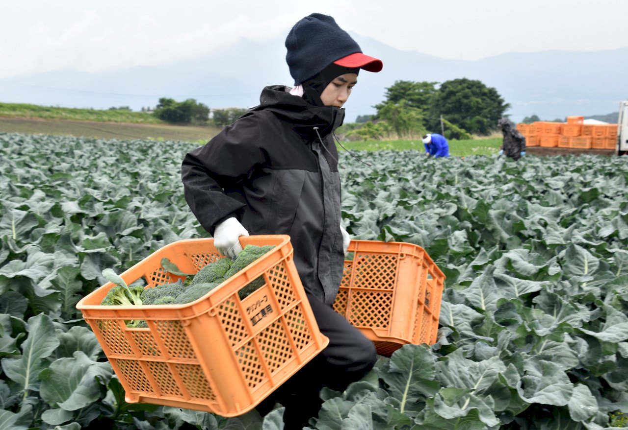 日本移民政策重大轉向 將允許特定外籍勞工無限期留下