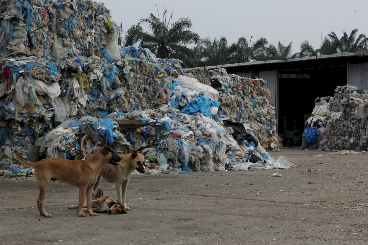 英國出口塑廢料 任意棄置在馬來西亞