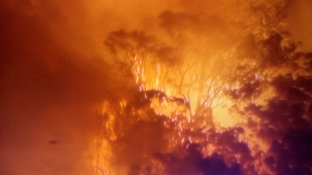 澳洲昆士蘭省高溫釀野火 8千人撤離家園