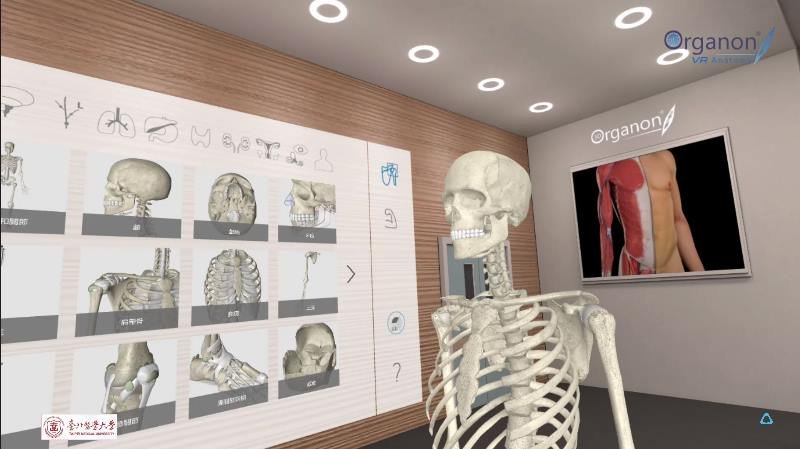 虛實整合 北醫攜手HTC建立全球最大VR解剖學教室