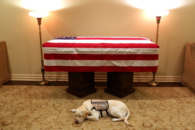 白宮第一狗故事多 忠犬伴老布希生死不棄