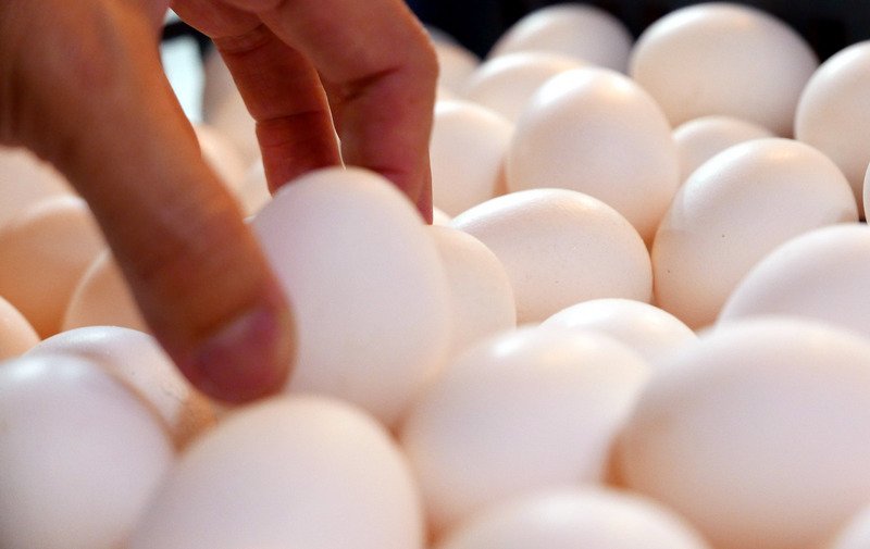 蛋品食安把關再升級 8月起輸入應有衛生證明