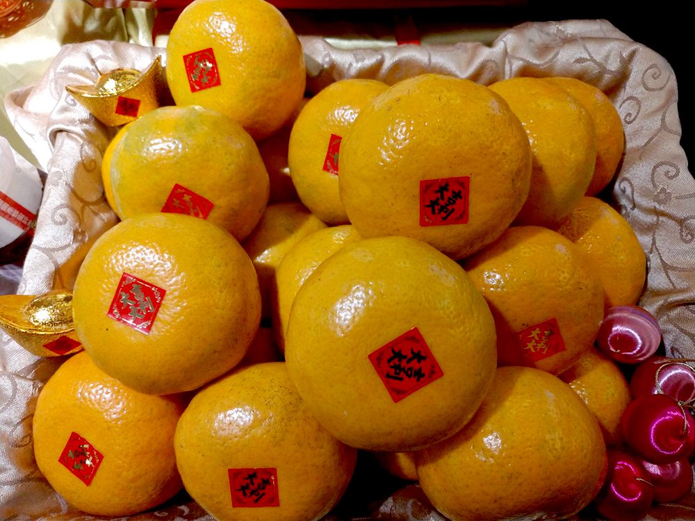 柑橘盛產 今年擴大外銷攻新南向國家