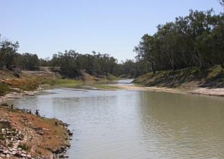 搶救澳洲最大河 專家：須採緊急行動