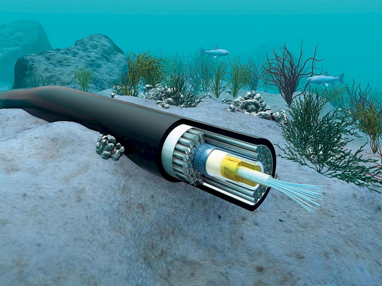 美中競爭加劇 美擬建新海底電纜連接太平洋島國