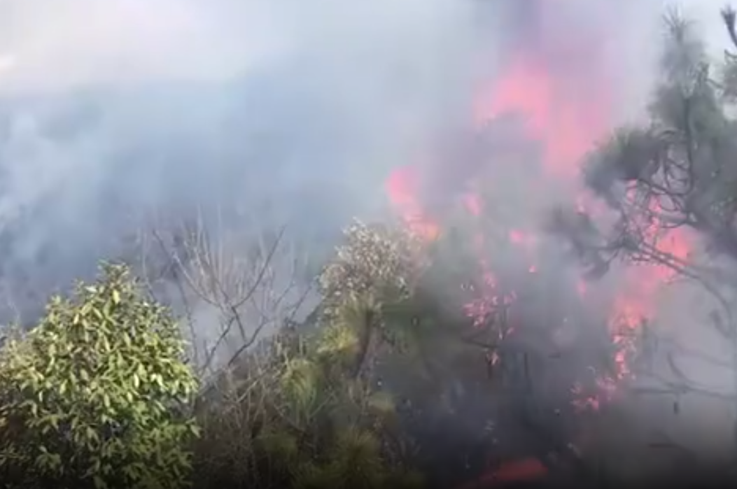涼山森林火勢已獲控制 30具遺體送西昌