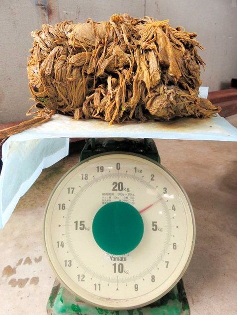 奈良鹿死亡 胃內竟有塑膠袋3.2公斤