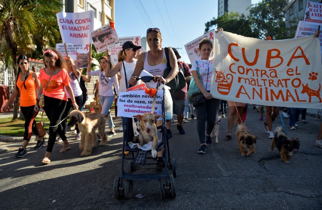 諷刺 古巴首次獨立遊行爭動物而非人權