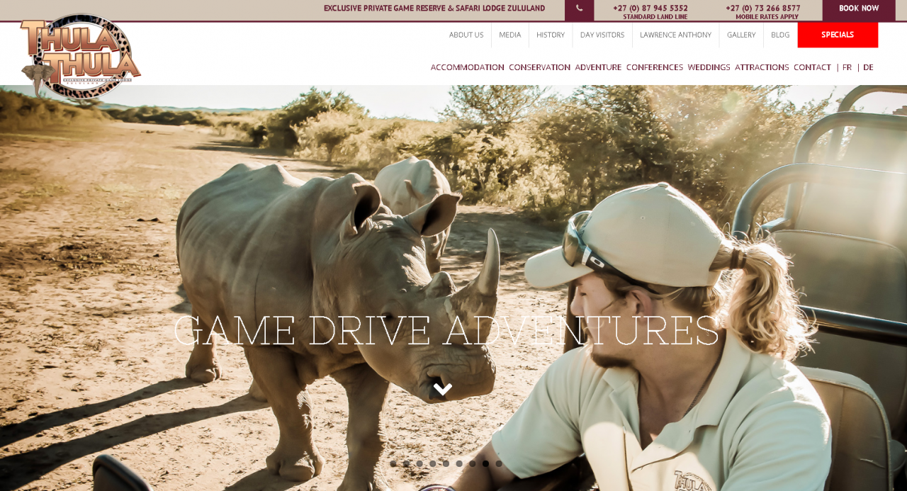 單身雄犀牛缺女友 南非野生動物園募款相助