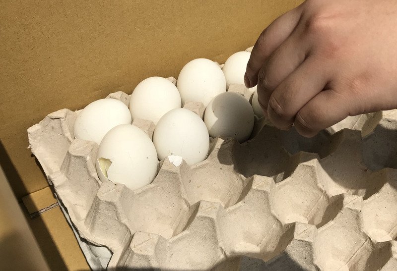 雞蛋產業溯源管理 政院7月啟動稽查