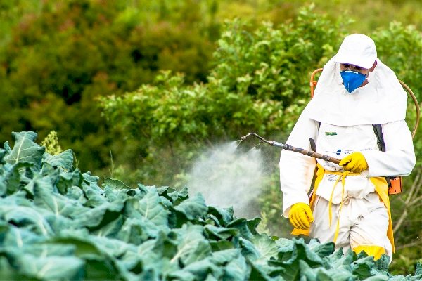 美核准農業用殺蟲劑 逾1/4歐盟禁用
