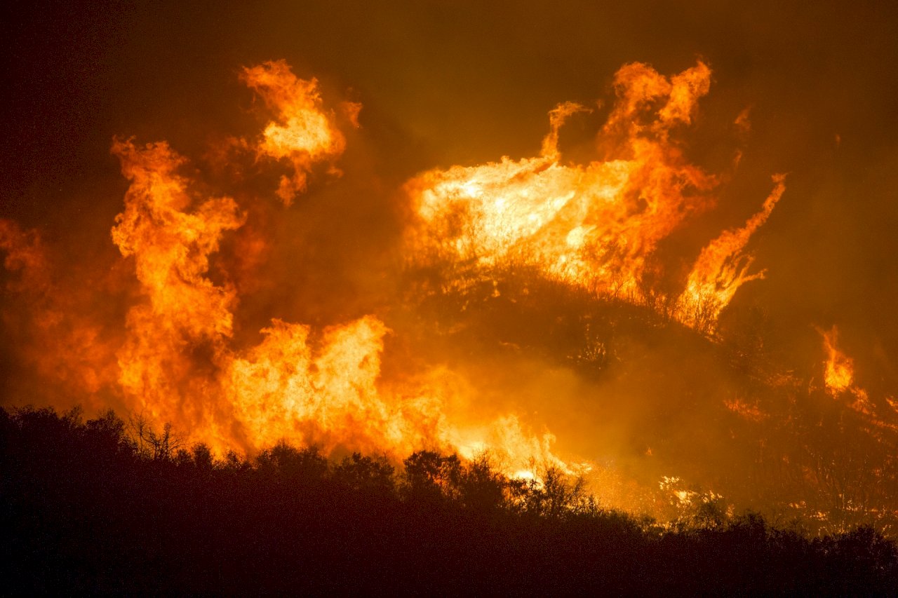 世銀：印尼野火肆虐 今年損失52億美元