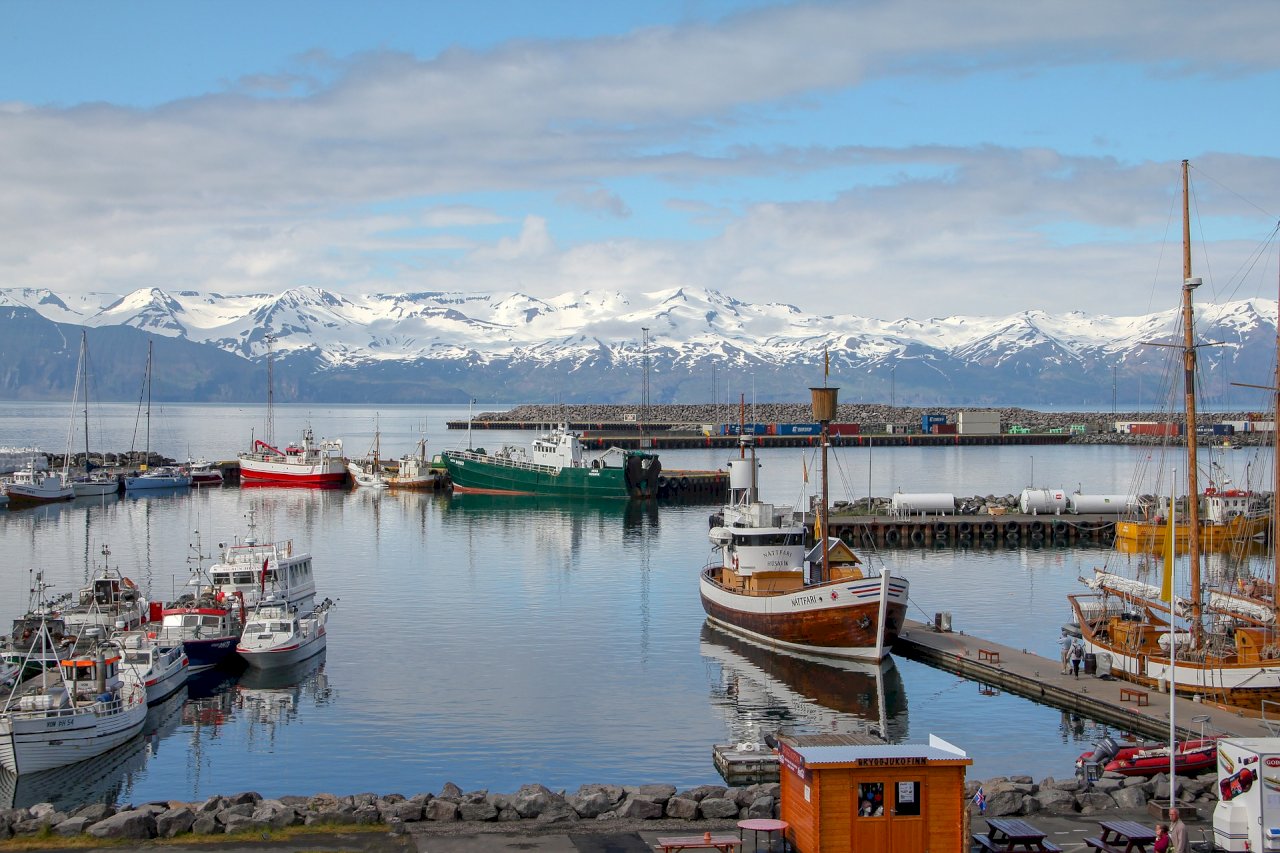 冰島首例確診武漢肺炎 患者曾赴義大利北部