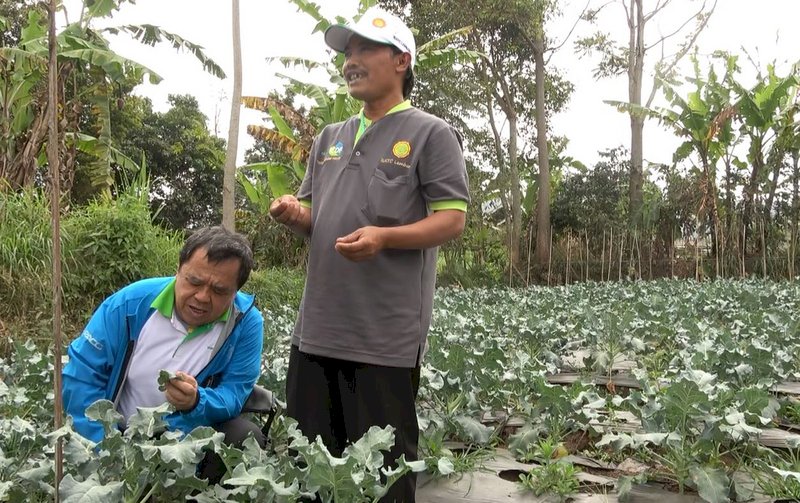 國合會認證加持 助印尼農民進軍高端市場
