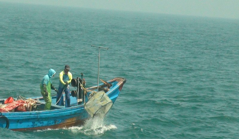 韓國去年在黃海查扣115艘外籍越界漁船