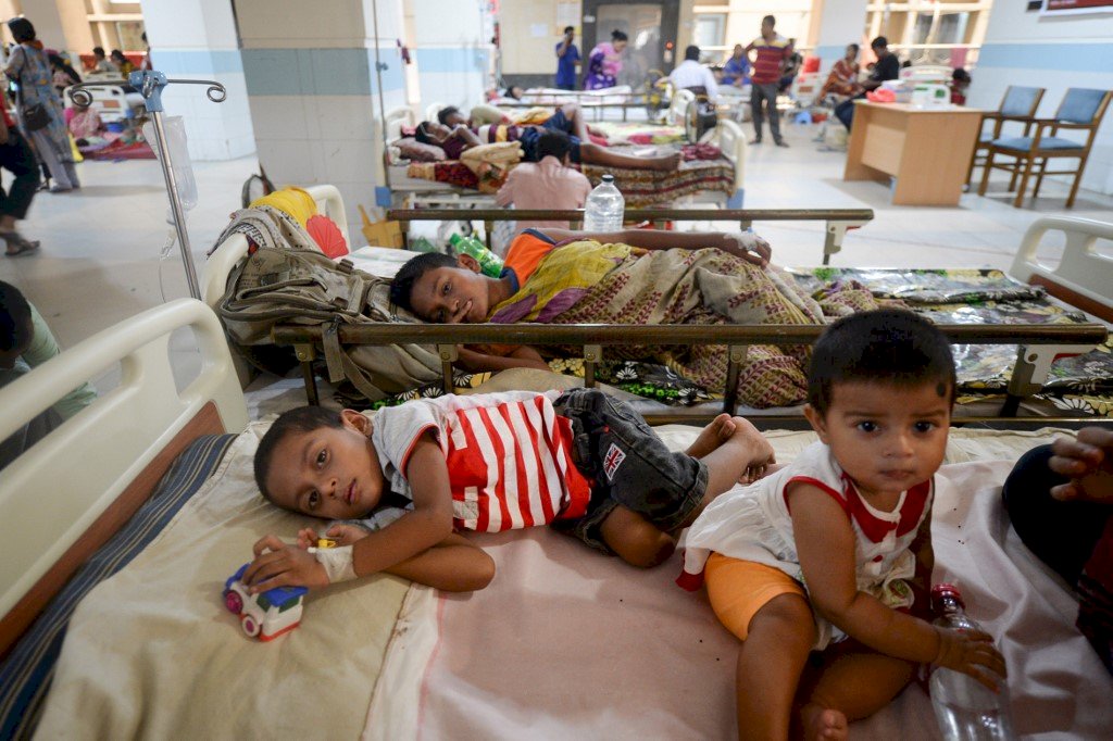 孟加拉爆發登革熱疫情 至少23人喪命