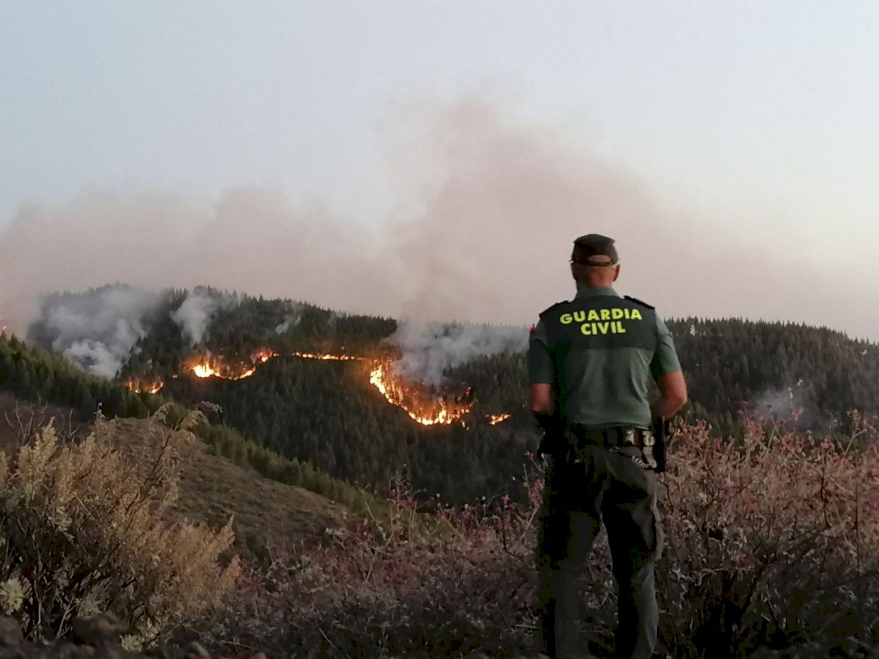 西班牙大加納利島野火減弱 居民開始返家