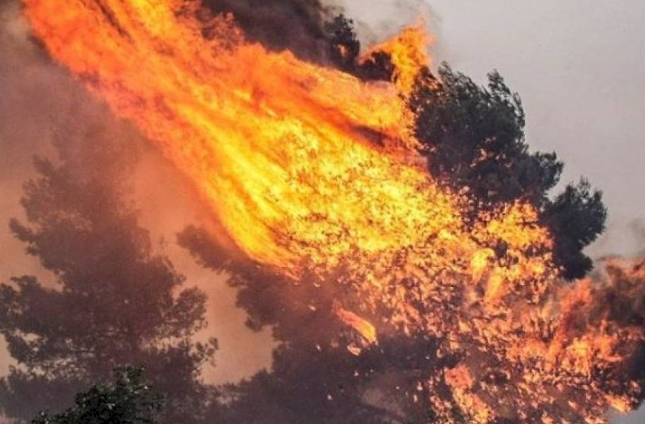 艾維亞島野火肆虐 濃煙籠罩雅典上空