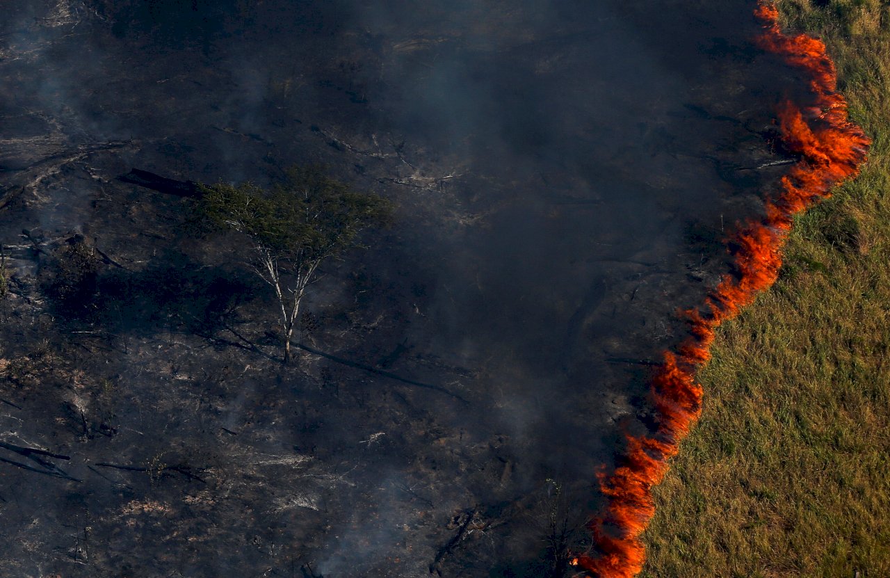 地球之肺起火！亞馬遜雨林燒不停全球遭殃