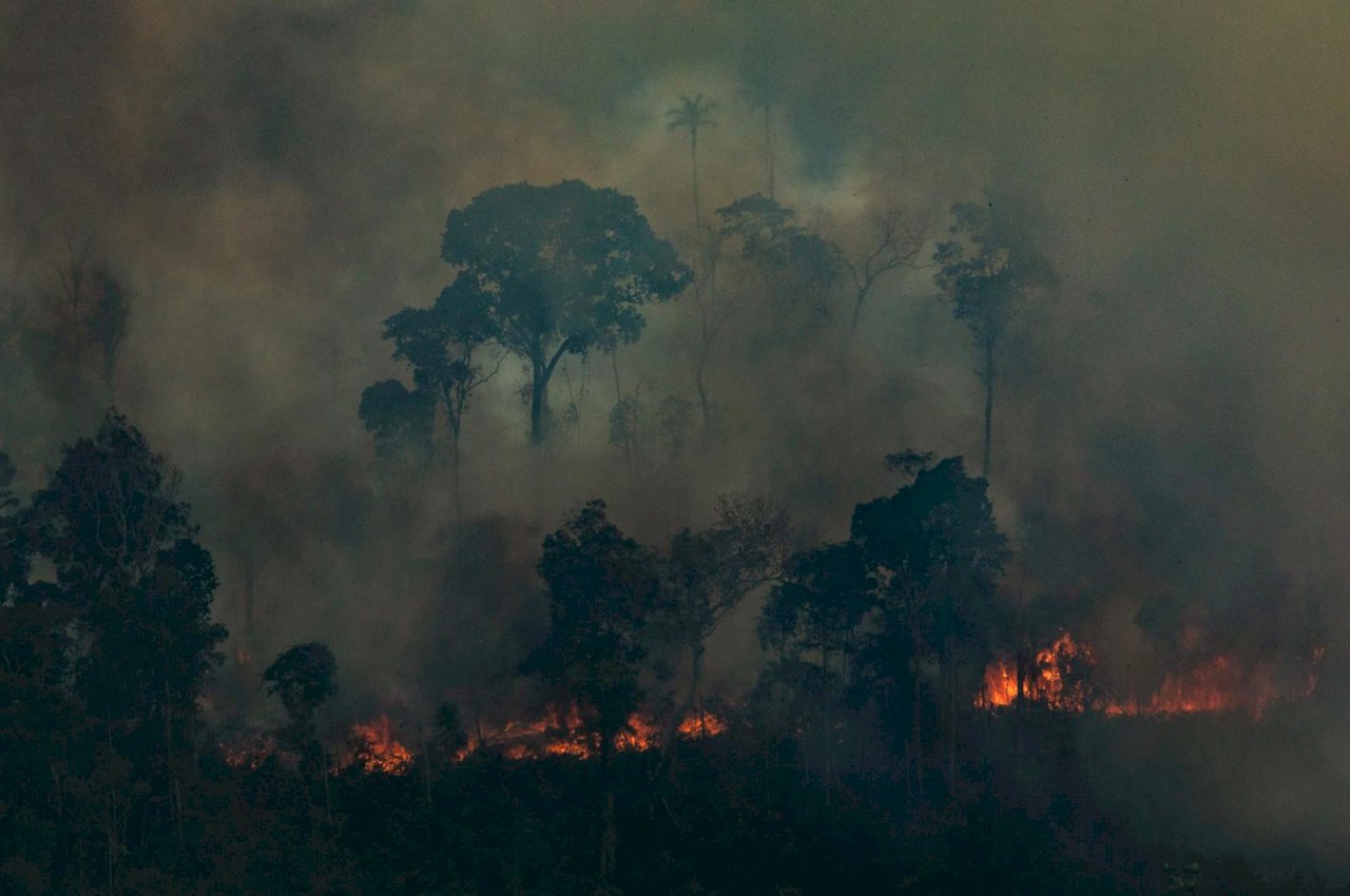巴西動員軍隊 協助對抗亞馬遜森林野火