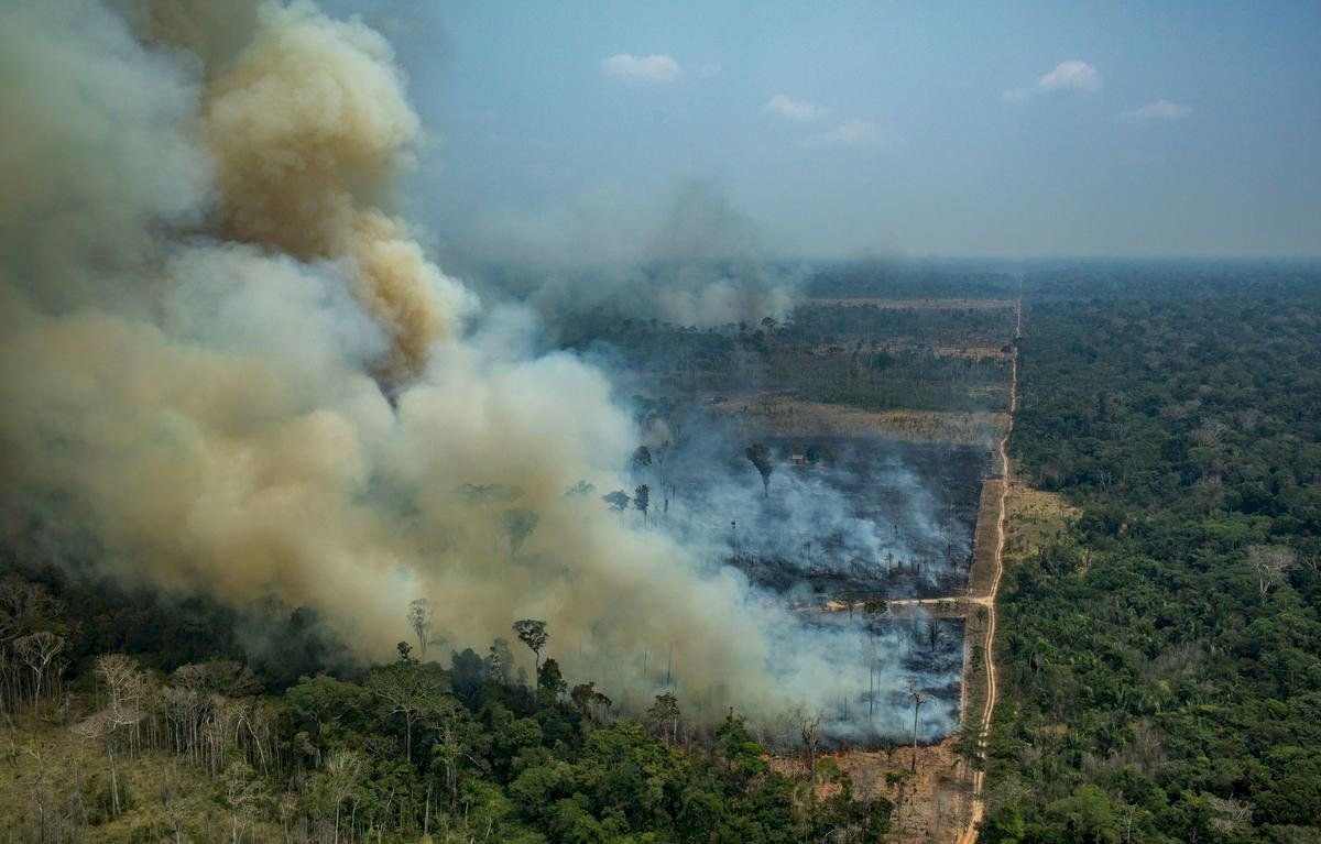 亞馬遜6月毀林創紀錄 巴西太空署總督導下台