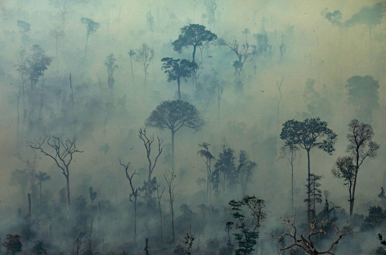 G7願協助亞馬遜雨林滅火 巴西斷然拒絕