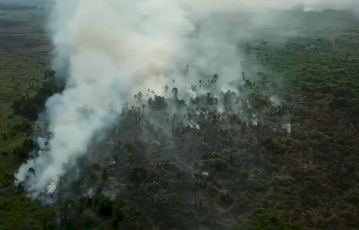 印尼各地森林大火引發霾害 近200人被捕