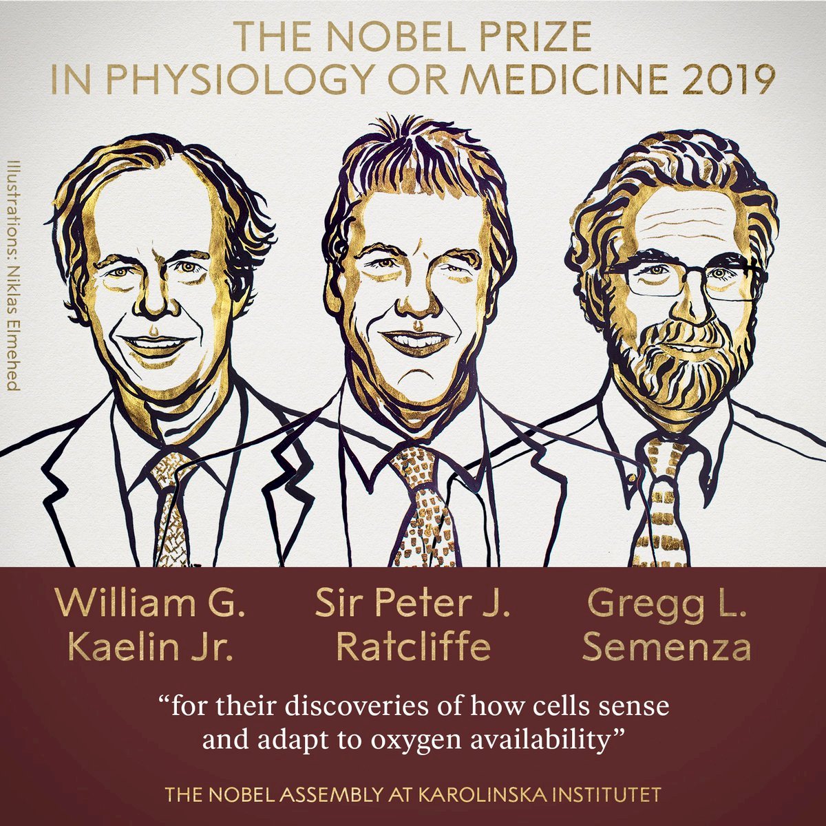 2019諾貝爾生理醫學獎：英美科學家3人共享