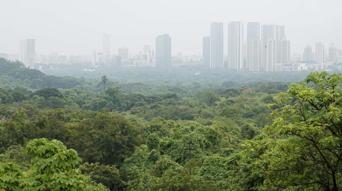 孟買為蓋地鐵砍樹 印度最高院下令暫停動作
