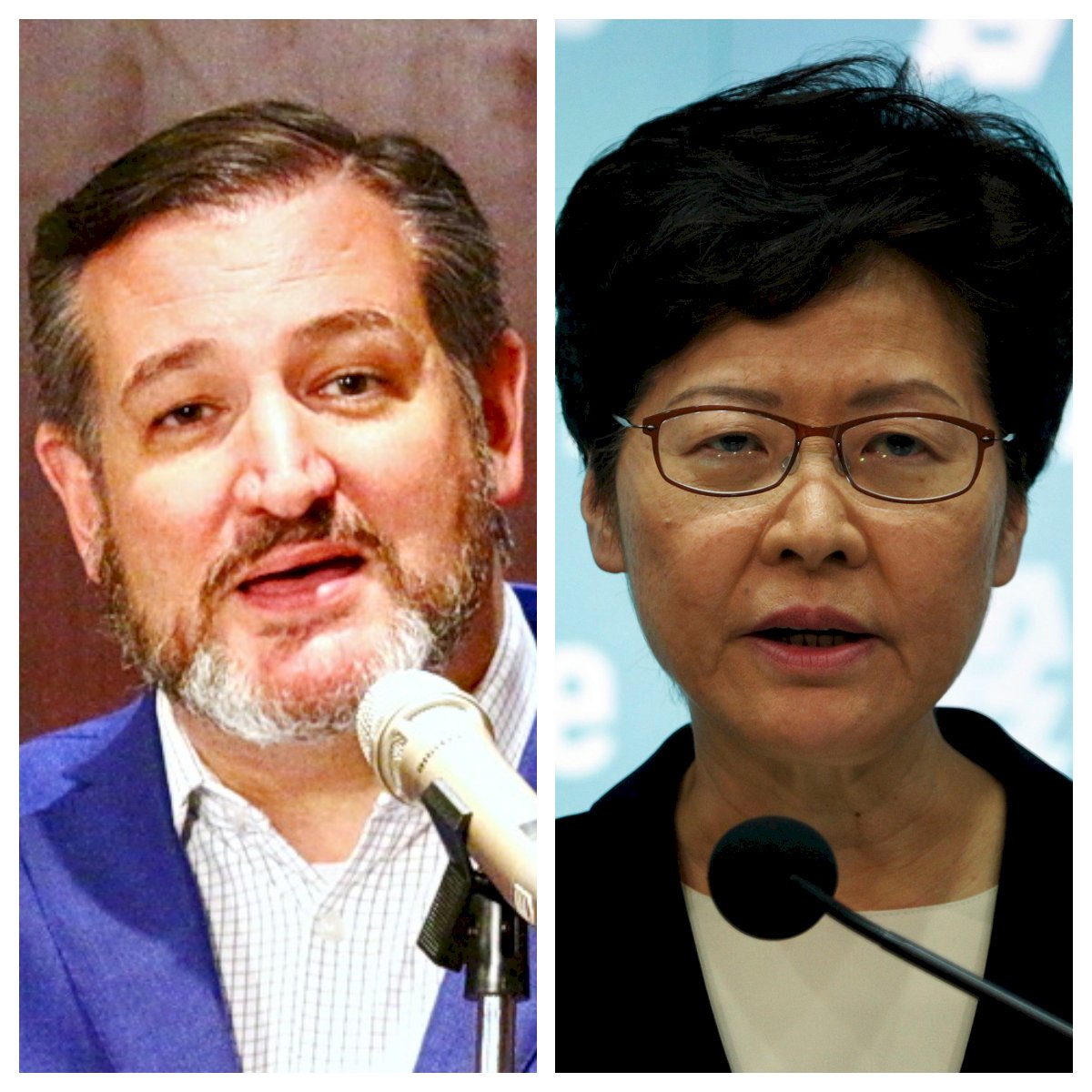美參議員克魯茲：與林鄭月娥會晤遭取消