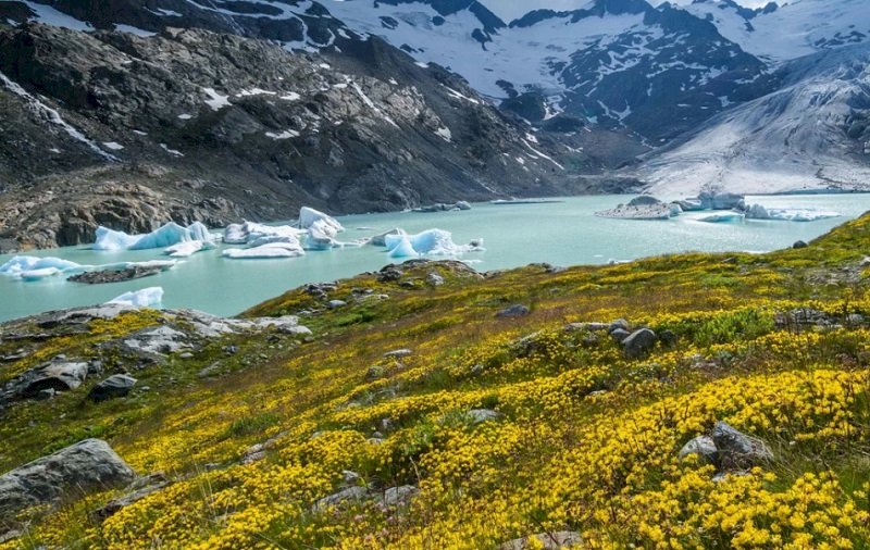 瑞士今夏熱翻 加速冰川消融
