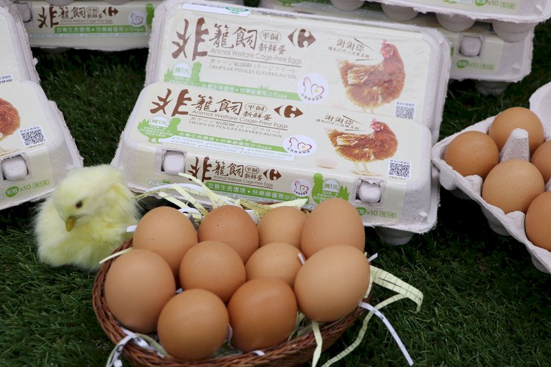 法式料理用台灣花材入菜 蛋與雞的生命故事