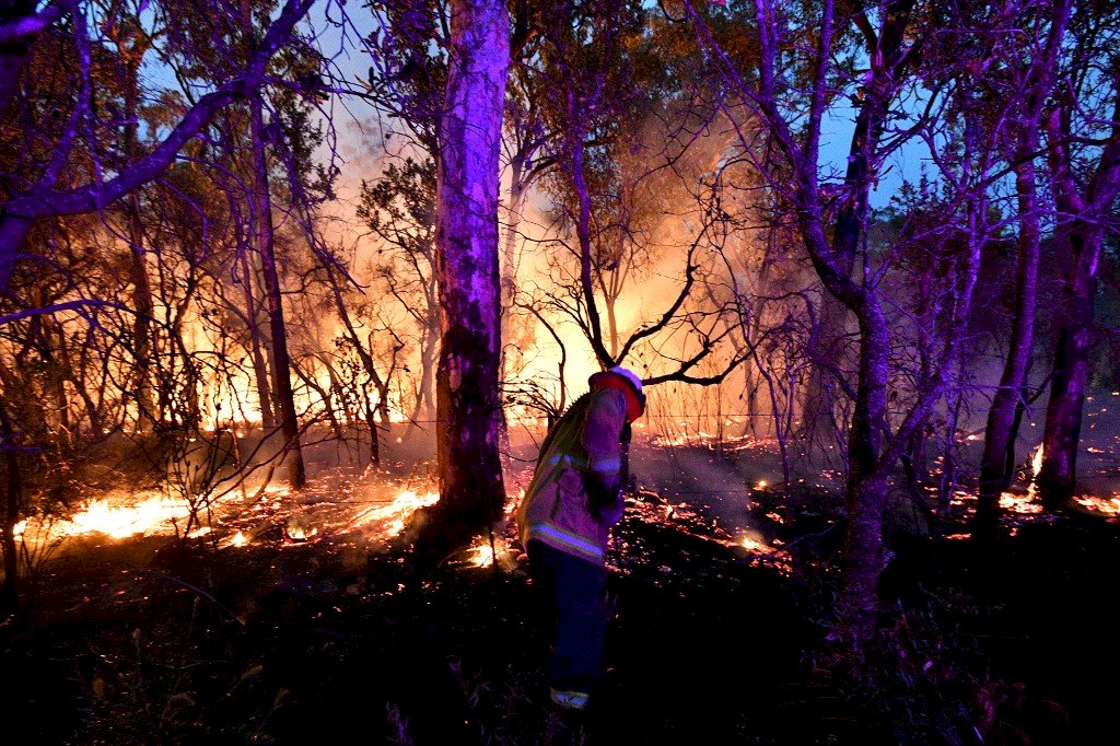 澳洲野火夷平房屋 艾班尼斯承諾提供一切所需支援