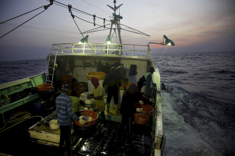 綠色和平指台漁船不當對待漁工 漁業署籲提事證
