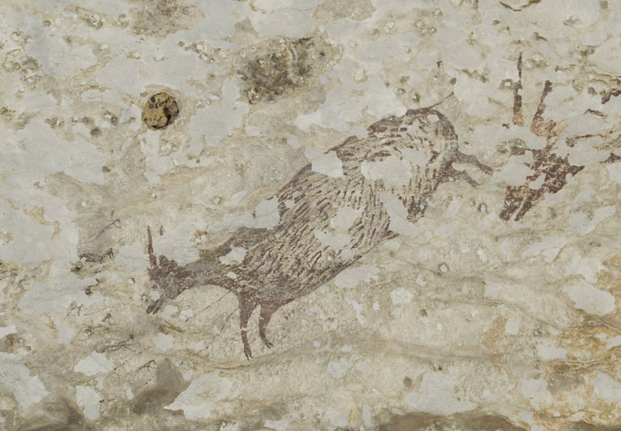 4.4萬年前印尼洞穴壁畫 世上最古老具象藝術品