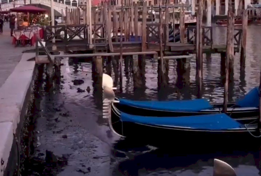 大水患後遭逢低潮 威尼斯運河嚴重乾涸