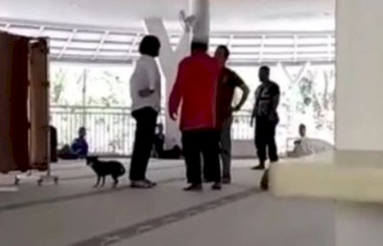 印尼女子帶狗進清真寺被控褻瀆 法官判免入獄