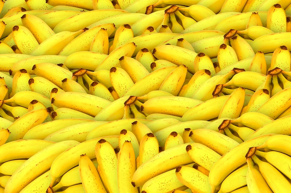 武漢肺炎衝擊／中國停工與市場關閉 菲律賓香蕉出口受阻