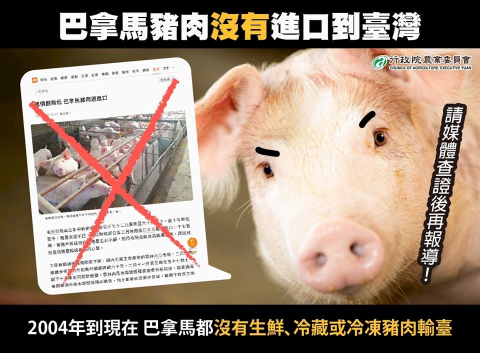 豬價新低還進口？農委會：2004年至今未從巴拿馬進口豬肉
