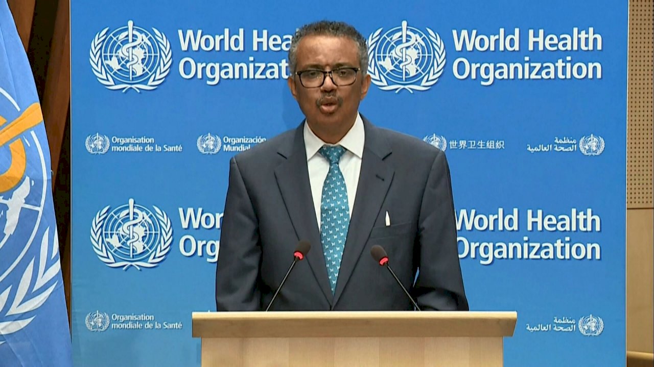 世衛秘書長：幾內亞19日可望宣布伊波拉疫情終結