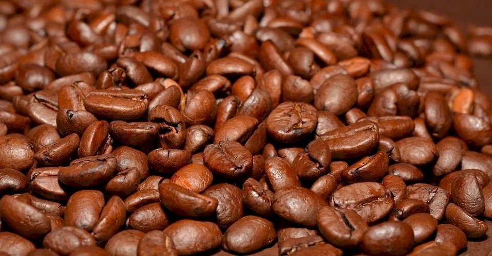全球氣候變遷 非洲咖啡面臨減量危機