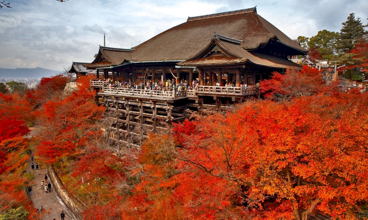 日本逐步開放外國遊客 觀光業仍面臨結構性挑戰