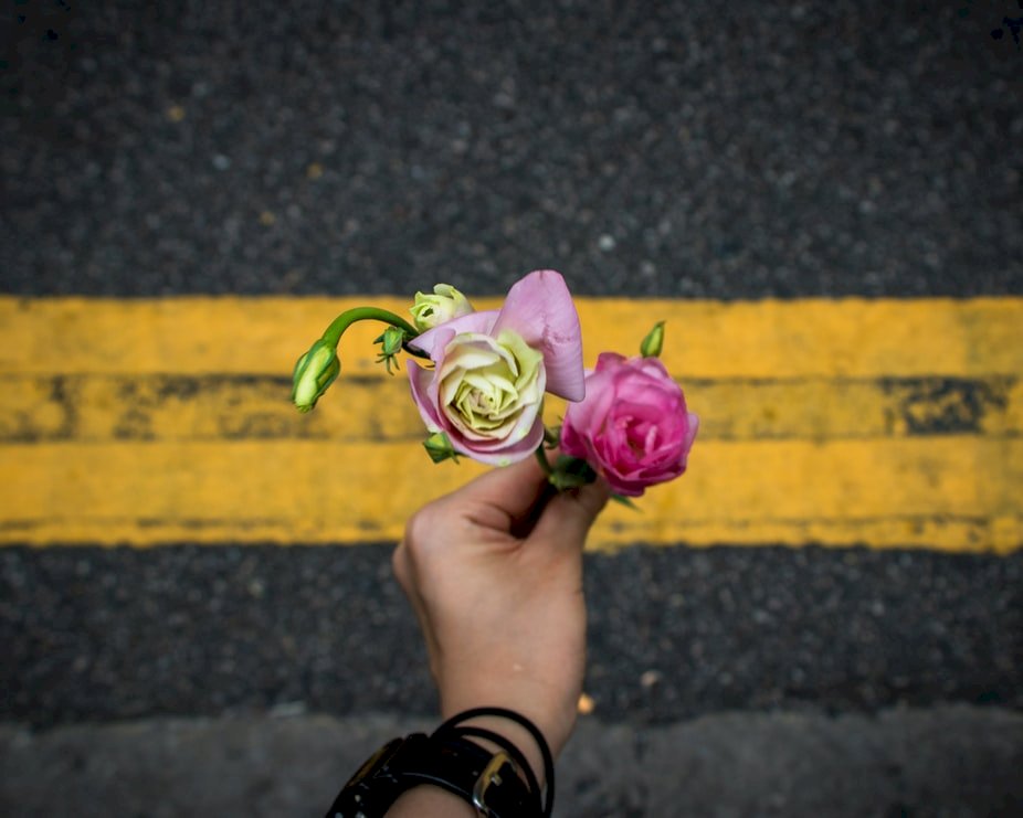 記錄台灣最美的「風景」：「贈人玫瑰，手留餘香」的妤婷
