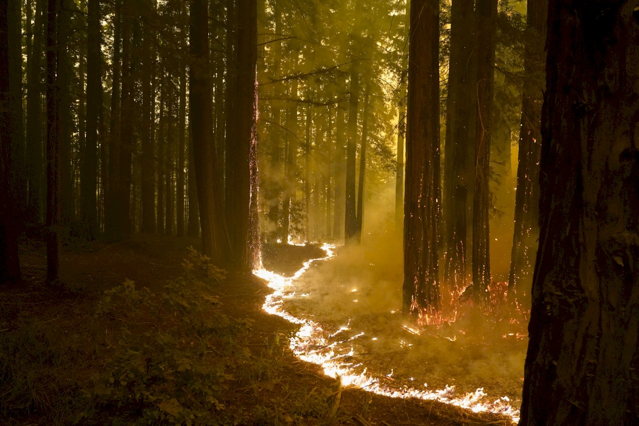 加州野火迫使上萬居民撤離 州長尋求國際協助